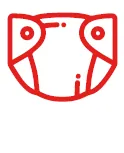 pannolini